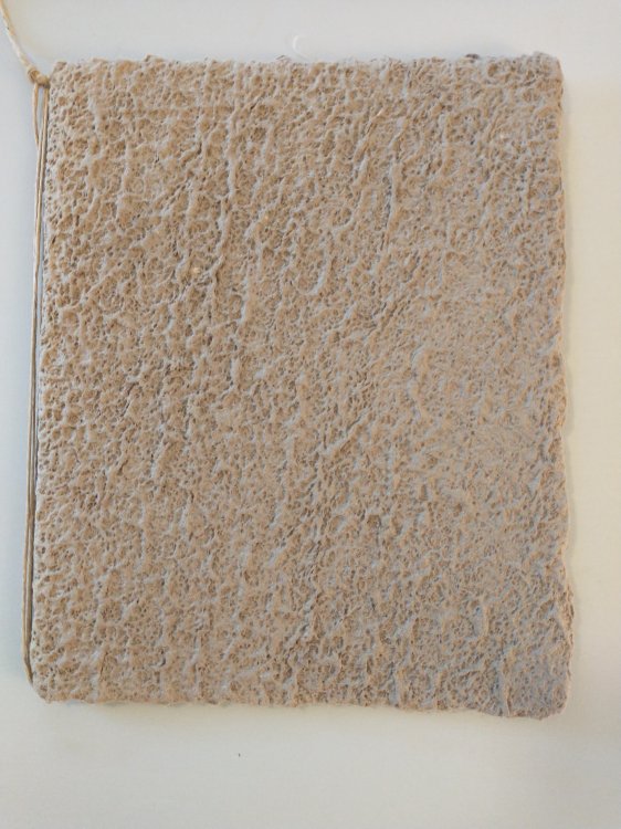 ISAMU NOGUCHI BEGINNINGS AND ENDS