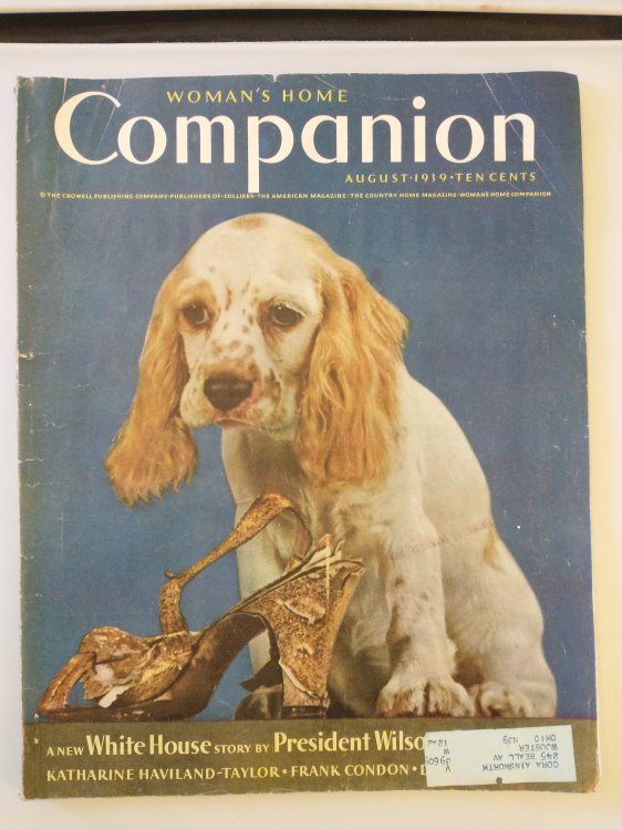 WOMAN'S HOME COMPANION AUG 1939