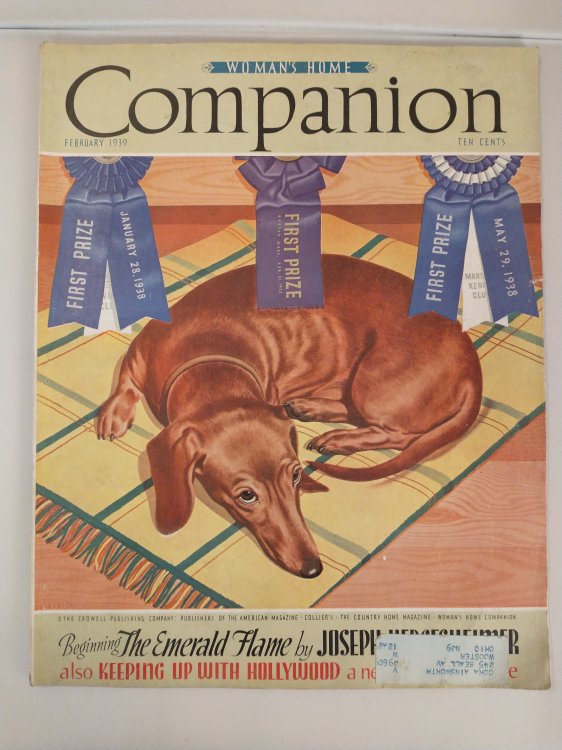 WOMAN'S HOME COMPANION