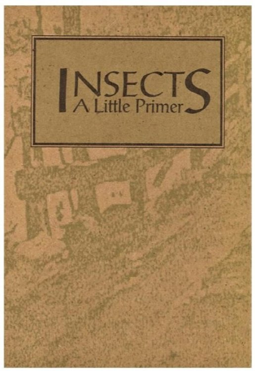 Insects: A Little Primer (Wonderlings)