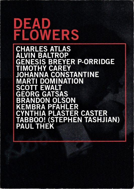 Dead Flowers
