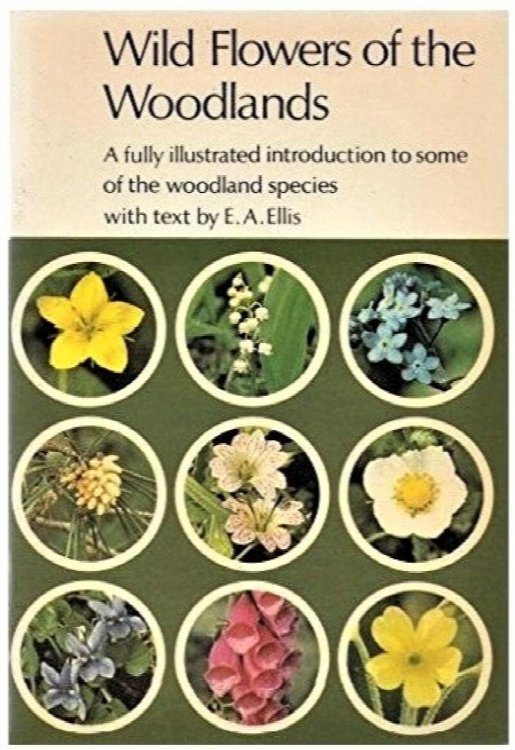 Wild Flowers of the Woodlands (Cotman-color)