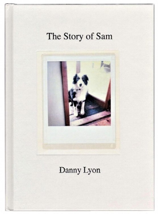 The Story of Sam