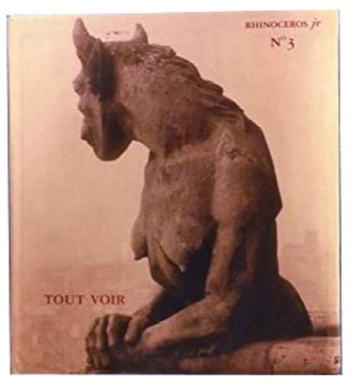 Rhinoceros Jr. No. 3 - Tout Voir