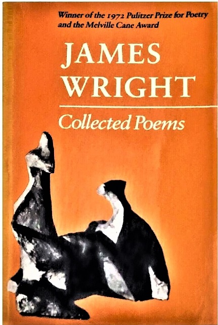 Image for Collected Poems Collected Poems