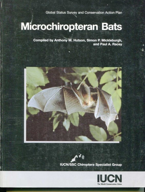Microchiropteran Bats