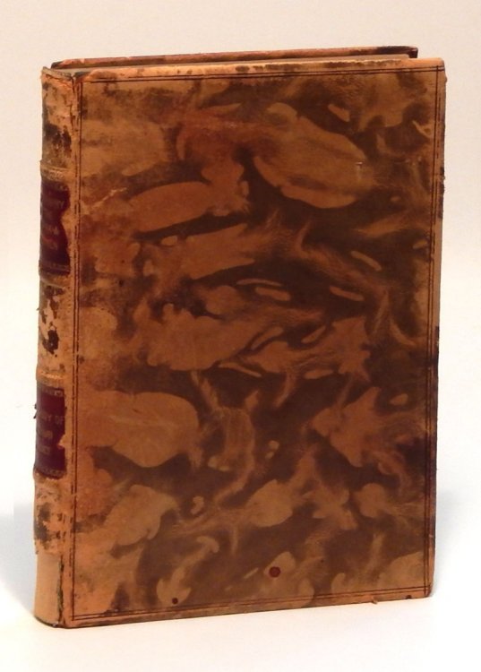 Topography of the Thorax and Abdomen [Univeristy of Missouri Studies, Science Series volume 1, number 1]