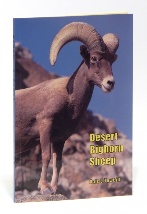 Desert Bighorn Sheep