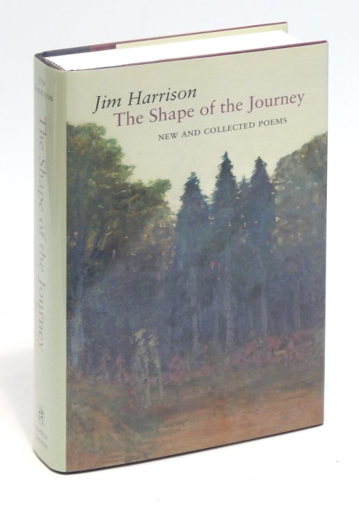 The Shape of the Journey