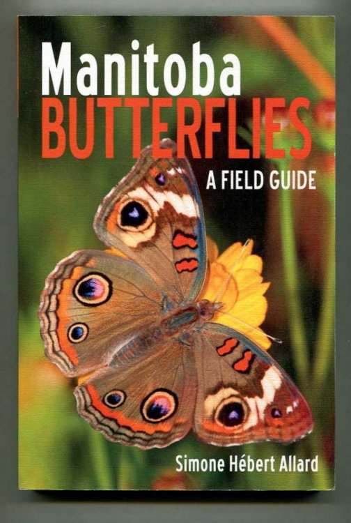 Manitoba Butterflies