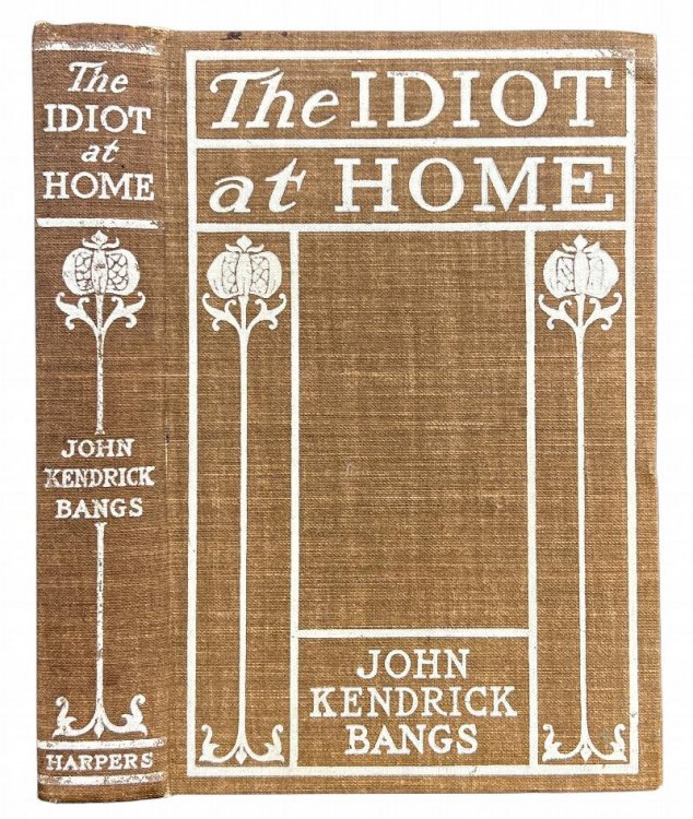 The Idiot at Home.