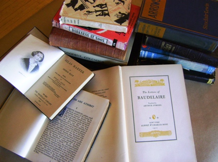 Vintage Monthly Book Club: Fiction & Literature - 3 month subscription subscription