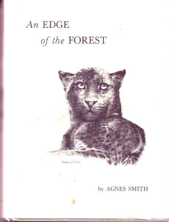 An Edge of the Forest