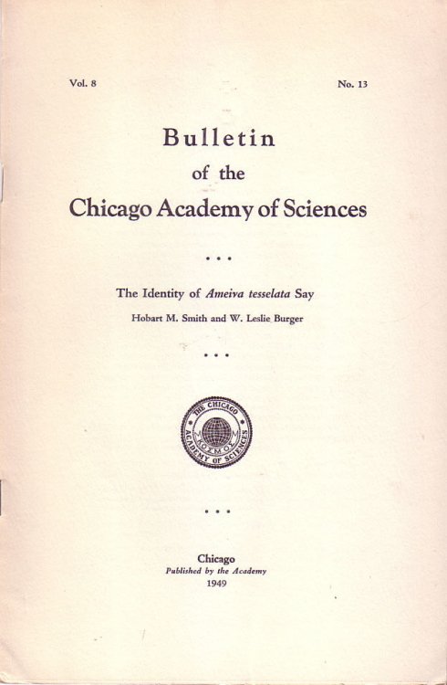 The identity of Ameiva Tesselata Say, Bulletin of the Chicago Academy of Sciences Vol. 8 No. 13