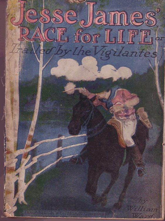 Jesse James' Race for Life, or, Trailed by the Vigilantes (Adventure Series No. 29)