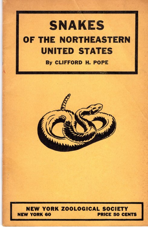 Snakes of the Northeastern United States