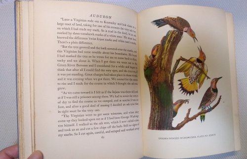 Audubon