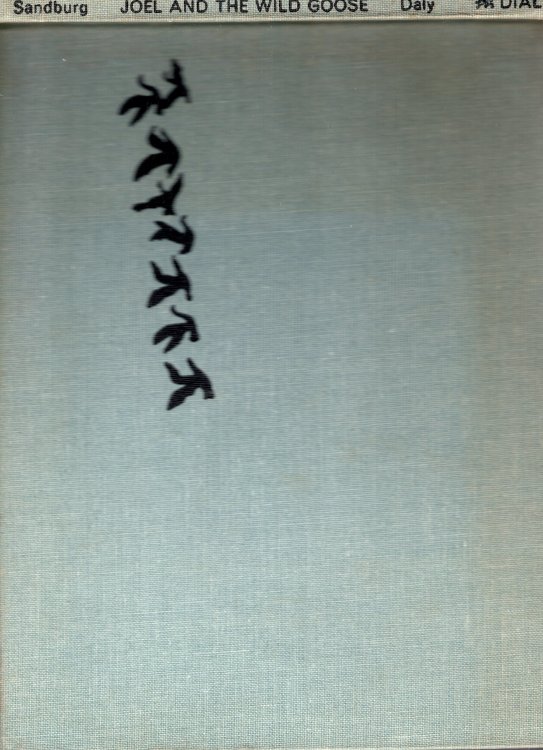 Joel and the Wild Goose