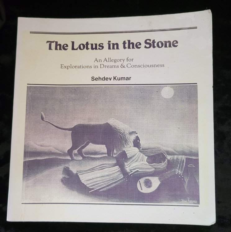 The Lotus in the Stone: an Allegory for Explorations in Dream & Consciousness