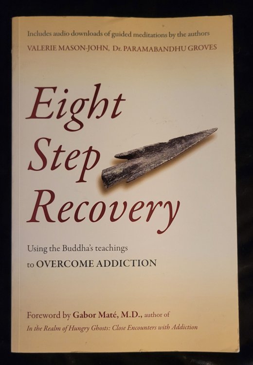 Eight Step Recovery: Using the Buddha's Teachings to Overcome Addiction