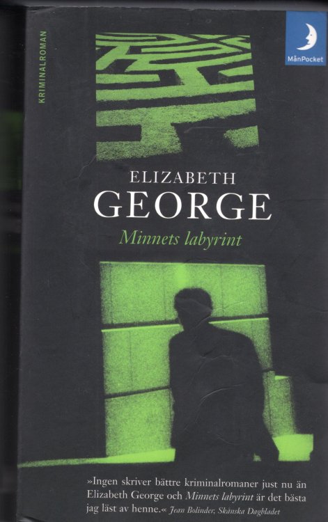 Minnets Labyrint (A Traitor to Memory)