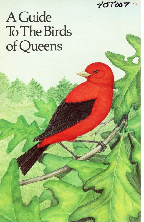 A Guide to the Birds of Queens
