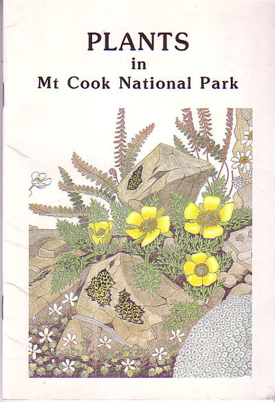 Plants in Mt. Cook National Park