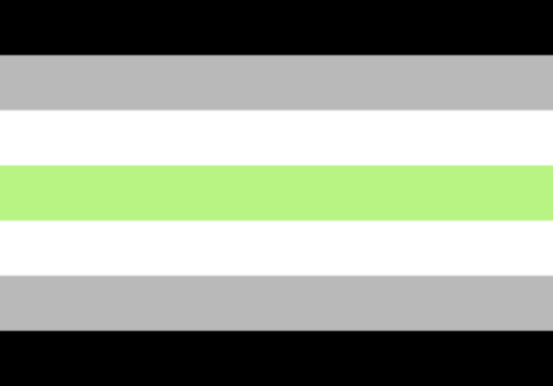 Large Agender Pride Flag