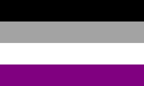 Large Asexual Flag