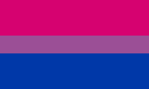 Large Bisexual Pride Flag