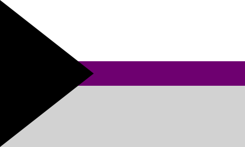 Large DemiSexual Flag