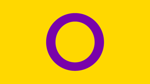 Large Intersex Flag
