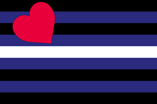 Large Leather Pride Flag