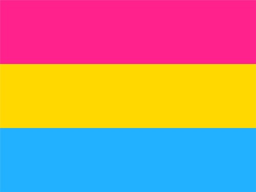 Large Pansexual Flag