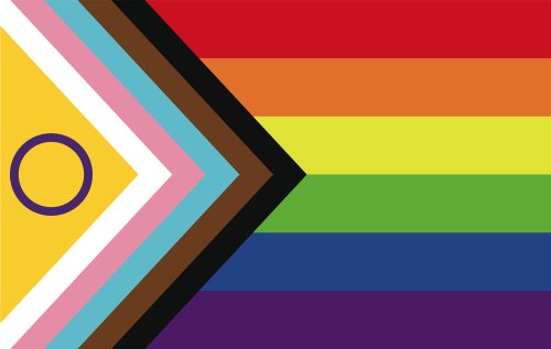 Large Intersex Inclusive Flag