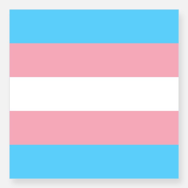 Large Transgender Flag