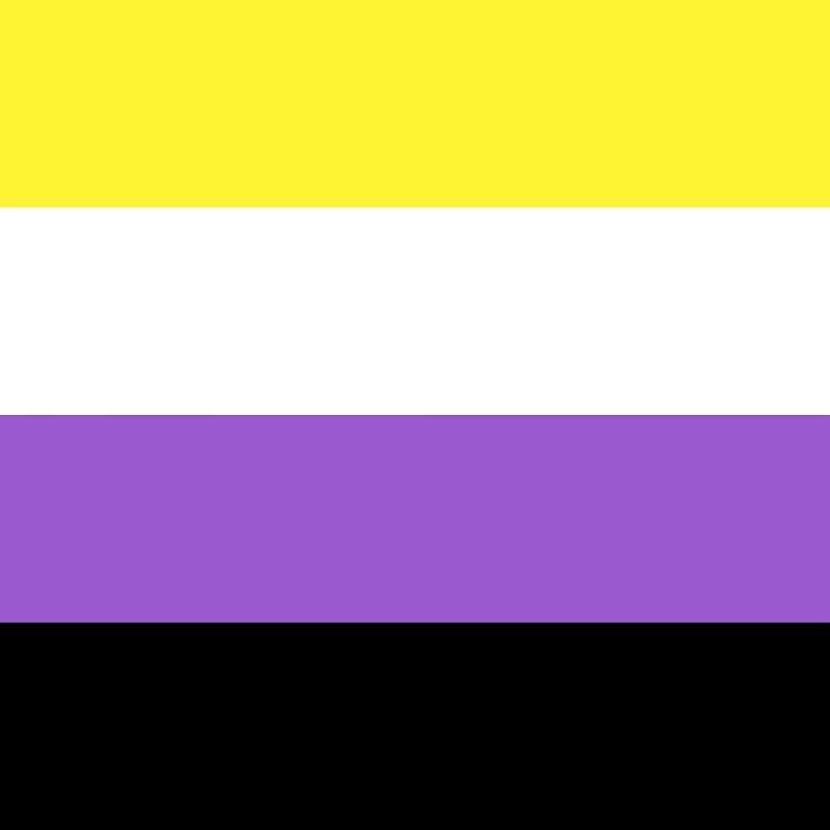 Large NonBinary Flag
