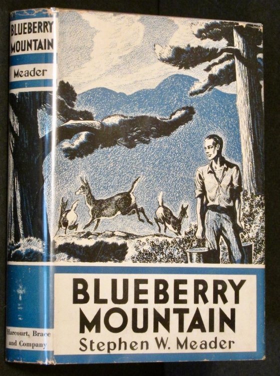 Blueberry Mountain