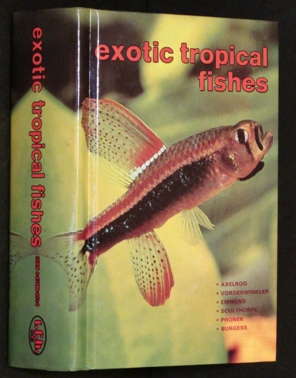 Exotic Tropical Fishes