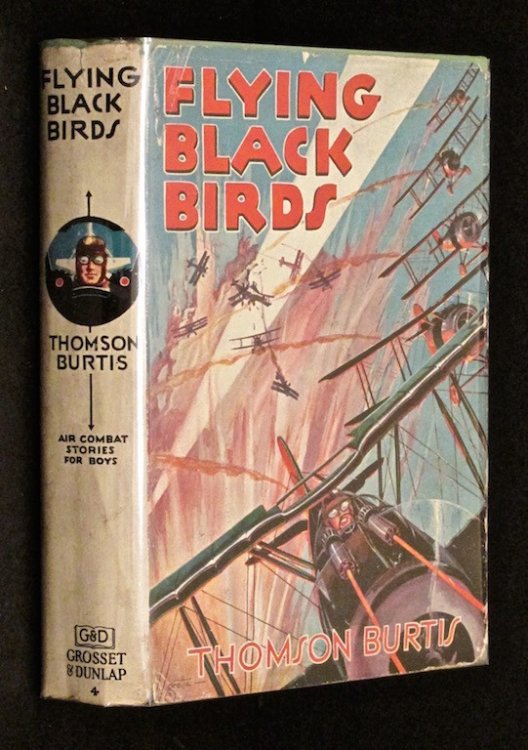 FLYING BLACK BIRDS. Air Combat Stories for Boys #4.