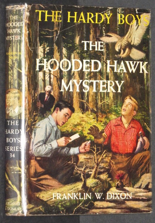 The Hooded Hawk Mystery (Hardy Boys, Book 34)