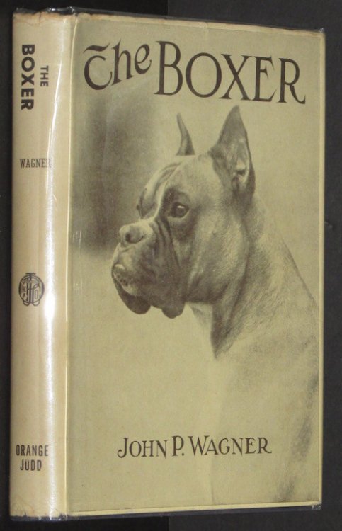 The Boxer