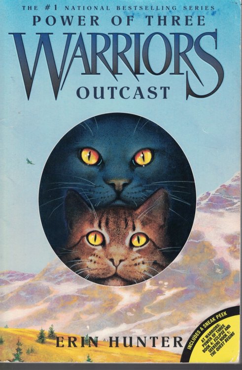 Warriors Power of Three - Outcast Book 3