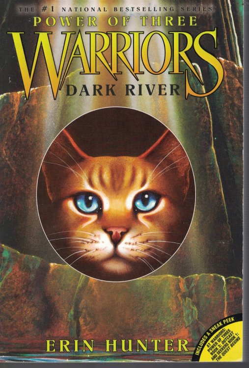 Warriors Power of Three - Dark River Book 2