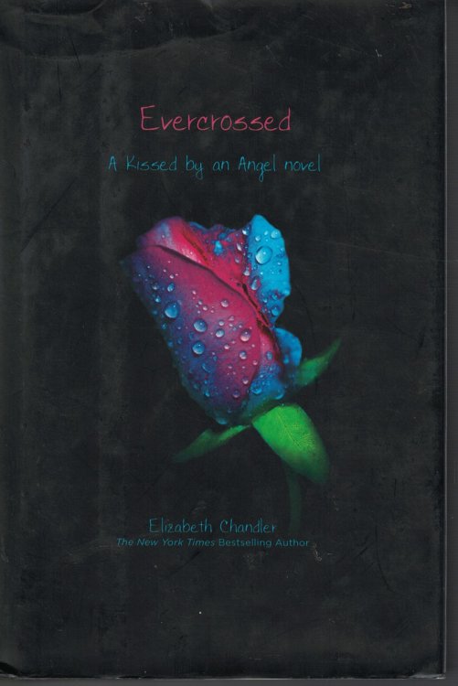 Evercrossed Book 4