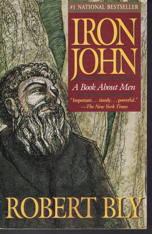 Iron John - Book About Men