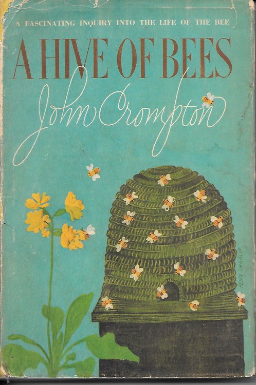 A Hive Of Bees