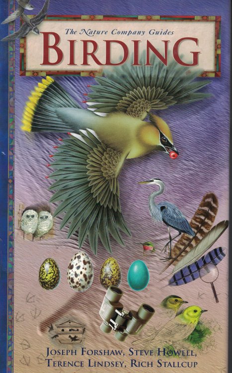Birding The Nature Guide Company