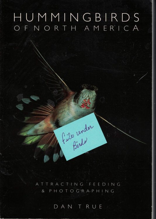 Hummingbirds Of North America; Attractin Feeding and Photographing