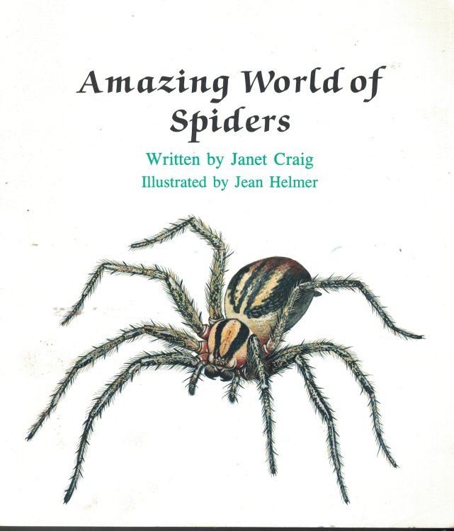 Amazing World Of Spiders